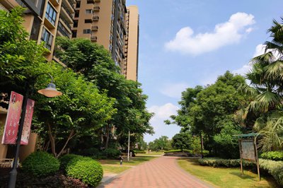 宁夏固原市彭阳县城东昂景苑小区，，，，，，接纳BB电子官网888全网线联网可视对